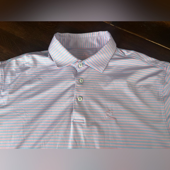 Rhoback Men's Short Sleeve Performance Polo Sz L The Birdie Stripe Pink/blue *** - Picture 4 of 16